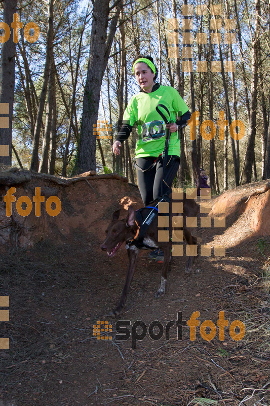 esportFOTO - 90 Canicross i Cursa Eramprunyà 2015 [1424643307_0611.jpg]