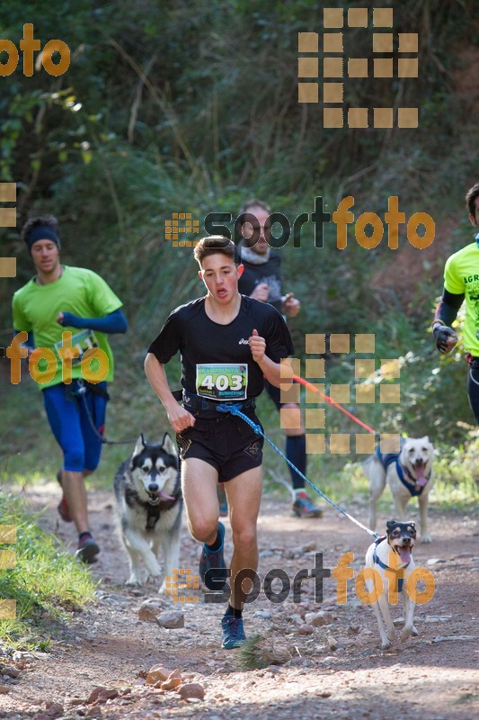 Esport Foto - Esportfoto .CAT - Fotos de 90 Canicross i Cursa Eramprunyà 2015 - Dorsal [403] -   1424650517_I5215.jpg