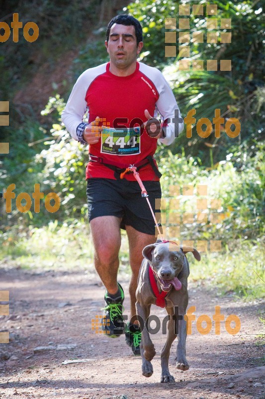 Esport Foto - Esportfoto .CAT - Fotos de 90 Canicross i Cursa Eramprunyà 2015 - Dorsal [444] -   1424650581_I5262.jpg