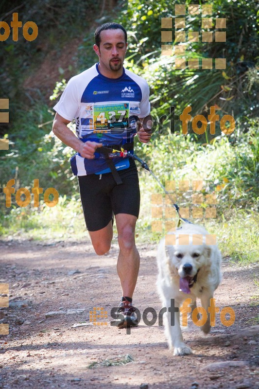 Esport Foto - Esportfoto .CAT - Fotos de 90 Canicross i Cursa Eramprunyà 2015 - Dorsal [437] -   1424650585_I5264.jpg