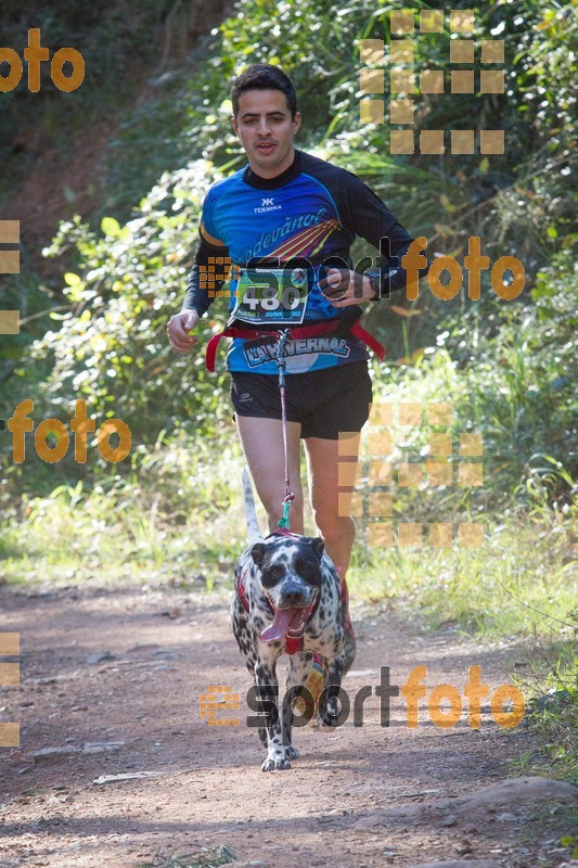 Esport Foto - Esportfoto .CAT - Fotos de 90 Canicross i Cursa Eramprunyà 2015 - Dorsal [480] -   1424650589_I5266.jpg