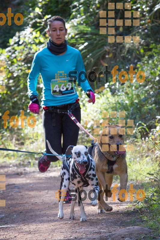 Esport Foto - Esportfoto .CAT - Fotos de 90 Canicross i Cursa Eramprunyà 2015 - Dorsal [469] -   1424650591_I5267.jpg