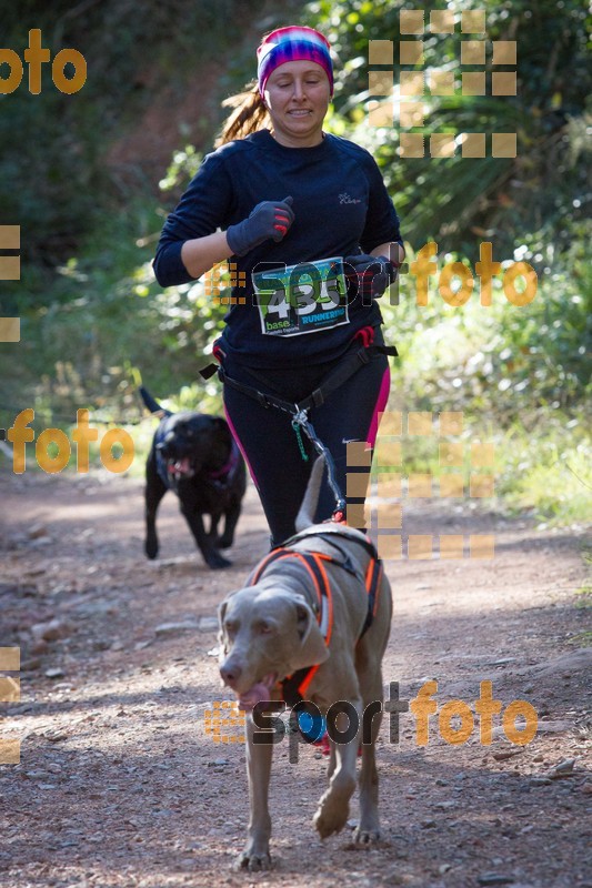 Esport Foto - Esportfoto .CAT - Fotos de 90 Canicross i Cursa Eramprunyà 2015 - Dorsal [435] -   1424650611_I5283.jpg