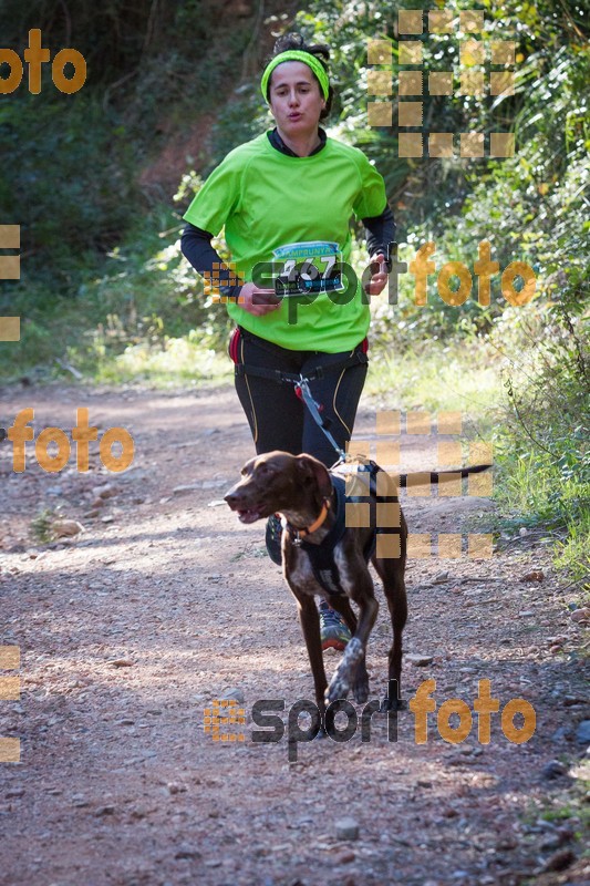 Esport Foto - Esportfoto .CAT - Fotos de 90 Canicross i Cursa Eramprunyà 2015 - Dorsal [467] -   1424650626_I5290.jpg