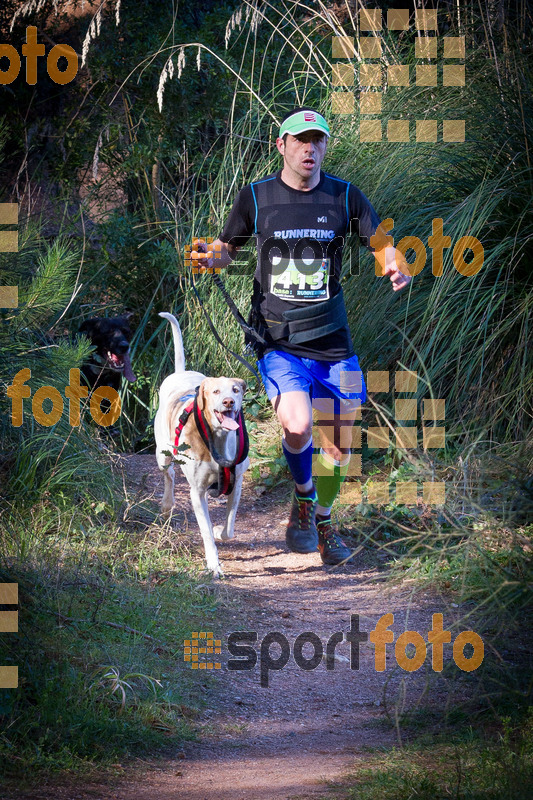 Esport Foto - Esportfoto .CAT - Fotos de 90 Canicross i Cursa Eramprunyà 2015 - Dorsal [413] -   1424682074_I5318.jpg