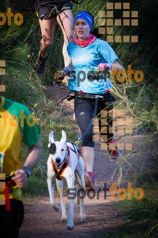 Esport Foto - Esportfoto .CAT - Fotos de 90 Canicross i Cursa Eramprunyà 2015 - Dorsal [466] -   1424682092_I5333.jpg